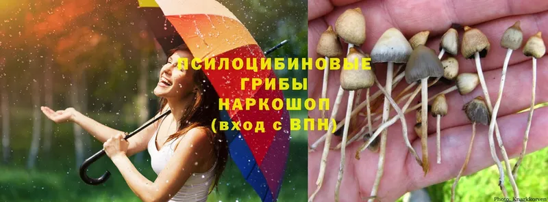 даркнет сайт  Гороховец  Галлюциногенные грибы Psilocybine cubensis 